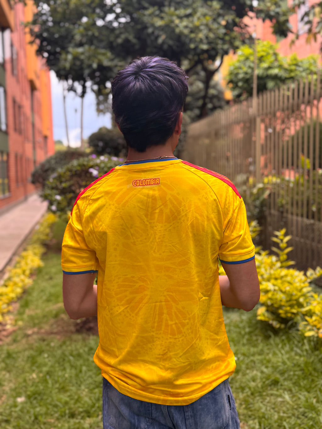 Camiseta version aficionado